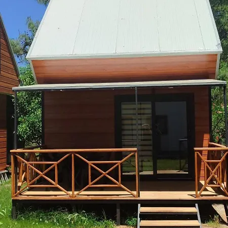 Farmside * Φετιγιέ